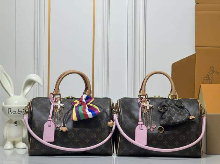 Picture of Louis Vuitton Handbags _SKUfw227466341fw